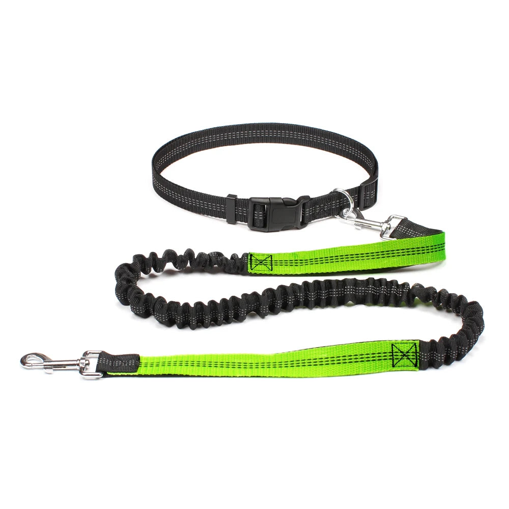 No-Pull Hands-Free Dog Leash – Perfect for Walking, Jogging & Training