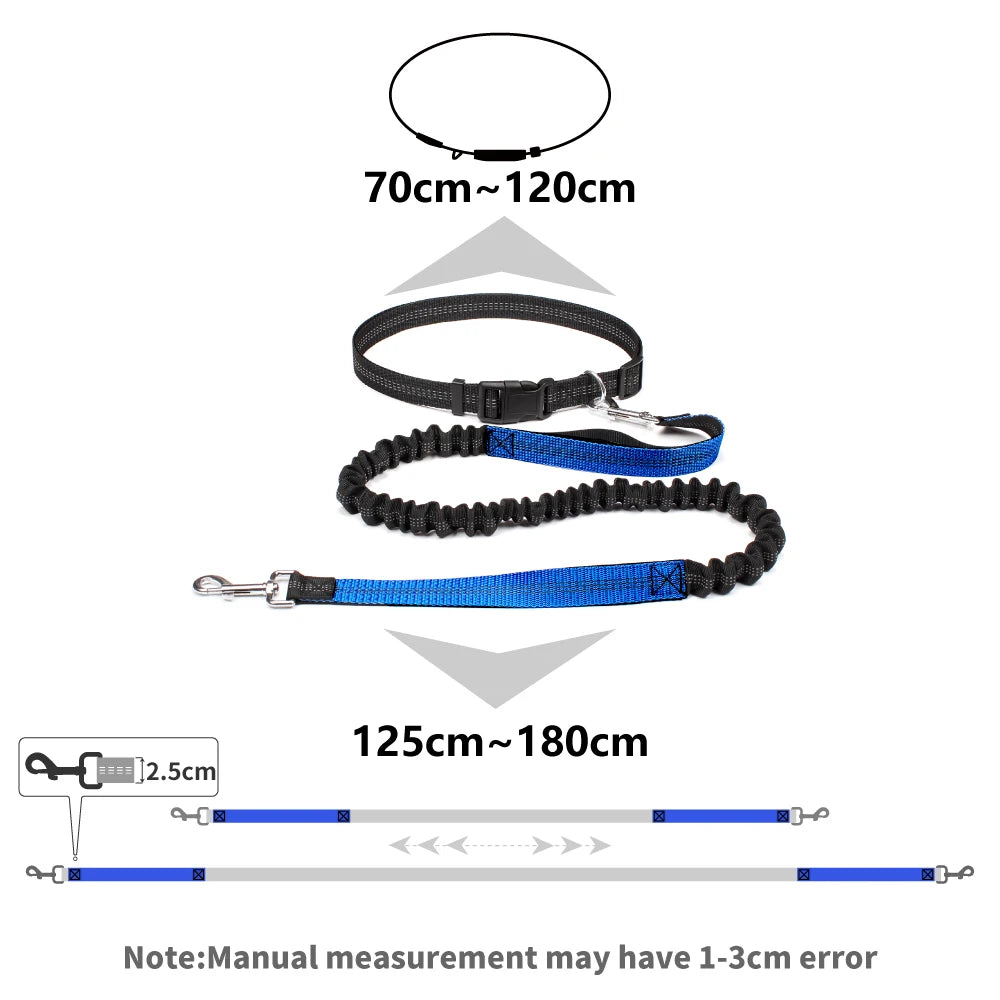 No-Pull Hands-Free Dog Leash – Perfect for Walking, Jogging & Training