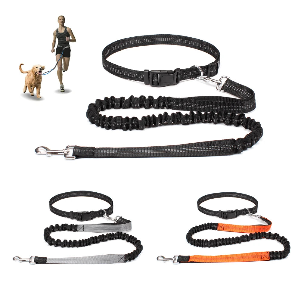 No-Pull Hands-Free Dog Leash – Perfect for Walking, Jogging & Training
