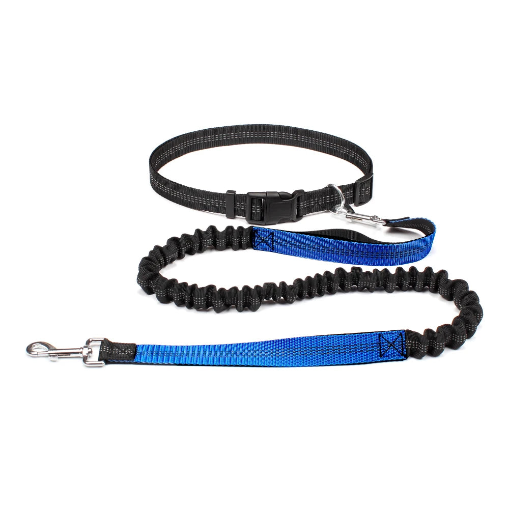 No-Pull Hands-Free Dog Leash – Perfect for Walking, Jogging & Training