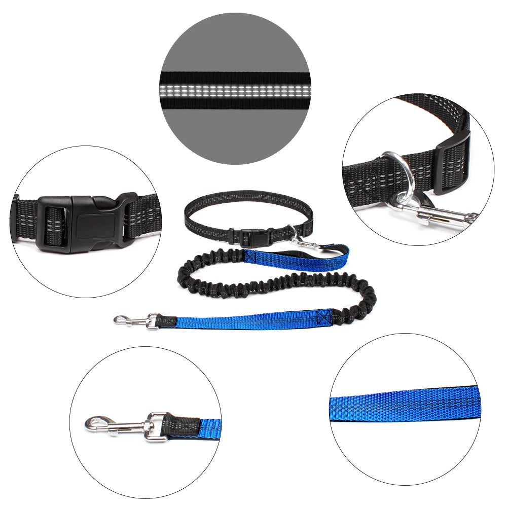 No-Pull Hands-Free Dog Leash – Perfect for Walking, Jogging & Training