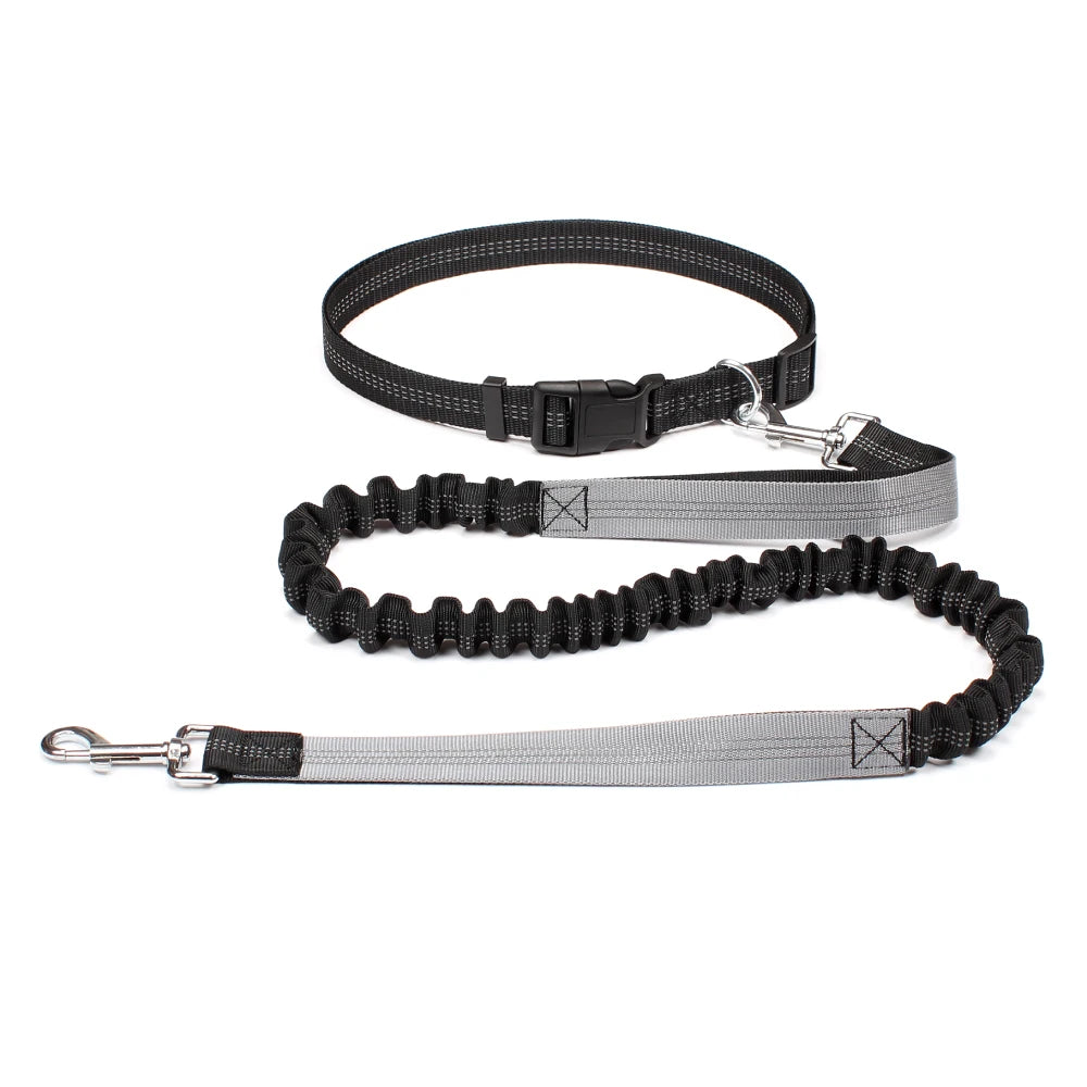 No-Pull Hands-Free Dog Leash – Perfect for Walking, Jogging & Training