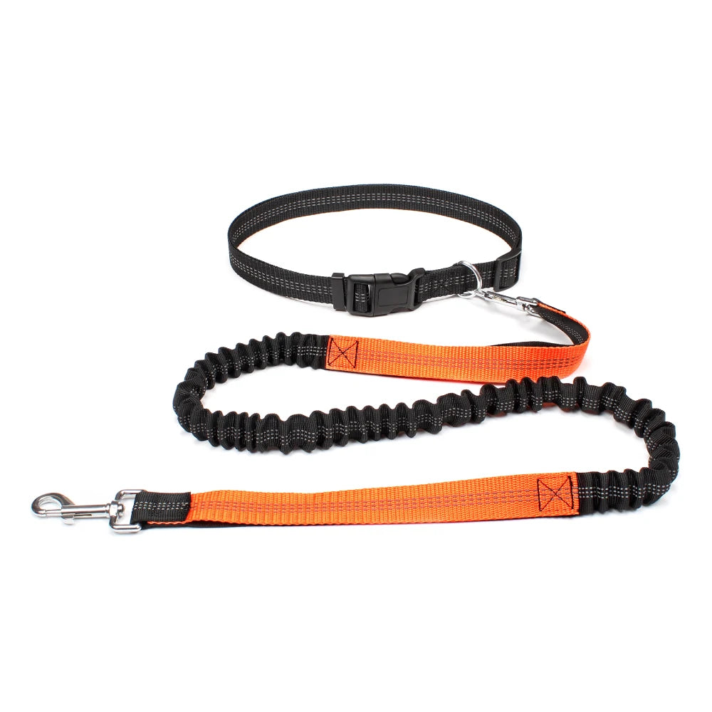 No-Pull Hands-Free Dog Leash – Perfect for Walking, Jogging & Training
