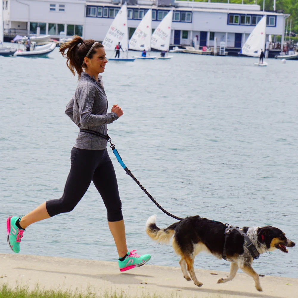 No-Pull Hands-Free Dog Leash – Perfect for Walking, Jogging & Training