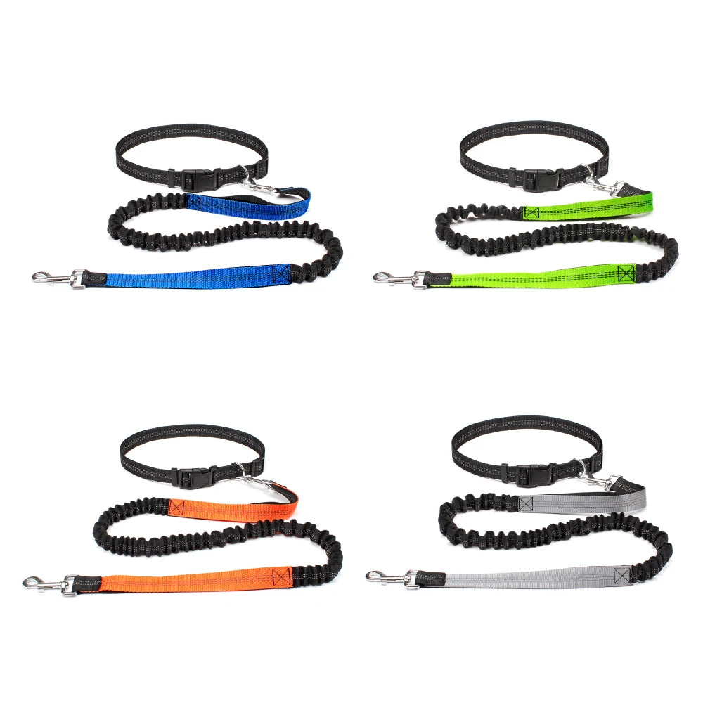 No-Pull Hands-Free Dog Leash – Perfect for Walking, Jogging & Training