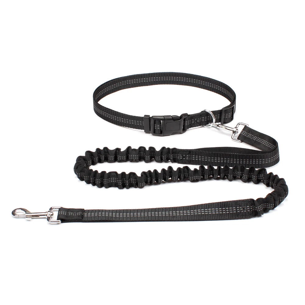 No-Pull Hands-Free Dog Leash – Perfect for Walking, Jogging & Training