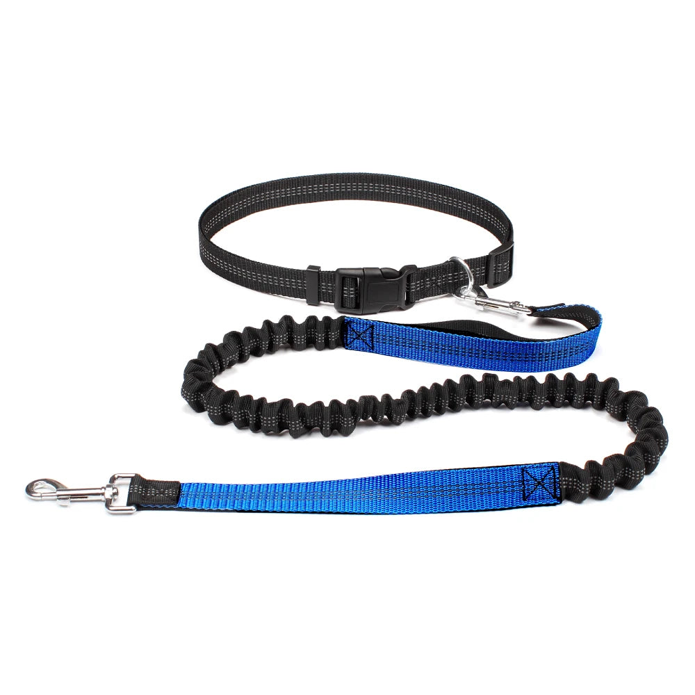 No-Pull Hands-Free Dog Leash – Perfect for Walking, Jogging & Training