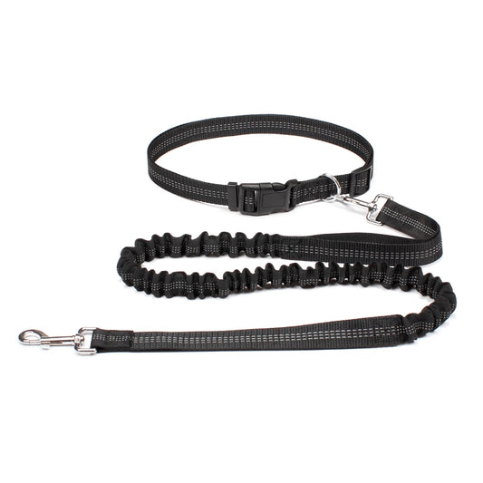 No-Pull Hands-Free Dog Leash – Perfect for Walking, Jogging & Training